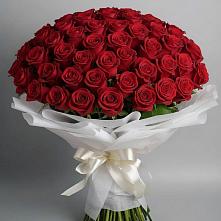 Букет 101 Красная роза Блэк Мэджик в Алатыри