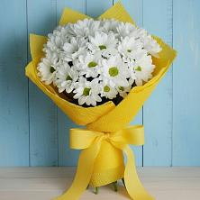 Букет цветов из:  Хризантемы в Алатыри