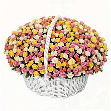 Премиум букет из: Розы в Алатыри