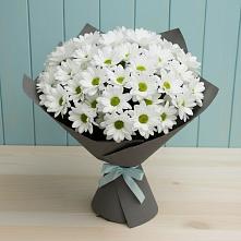 Букет цветов из:  Хризантемы #REPLACE_PRED# Алатыри