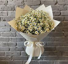 Букет цветов из:  Ромашки #REPLACE_PRED# Алатыри