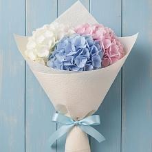 Букет цветов из:  Гортензия в Алатыри