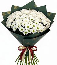 Букет цветов из:  Хризантемы #REPLACE_PRED# Алатыри