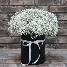 Цветочная композиция из Гипсофила в шляпной коробке в Алатыри