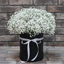 Цветочная композиция из Гипсофила в шляпной коробке в Алатыри